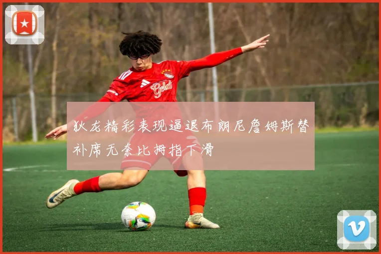 狄龙精彩表现逼退布朗尼詹姆斯替补席无奈比拇指下滑