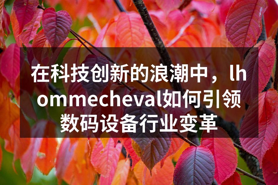 lhommecheval最新智能手机产品展示